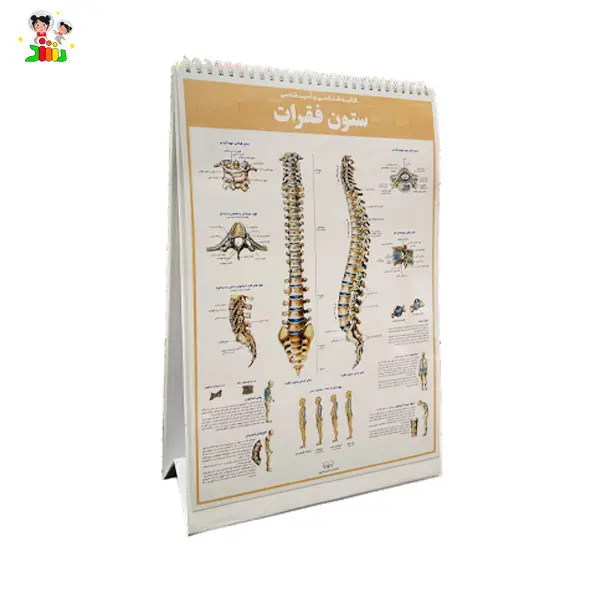 کتاب اطلس کالبد شناسی(آناتومی) بدن انسان | اندیشه کهن